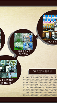 根志堂成长历程与荣誉3